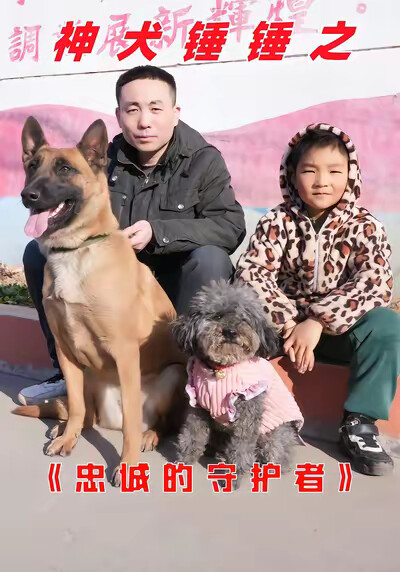 《神犬锤锤之忠诚的守护者》剧照