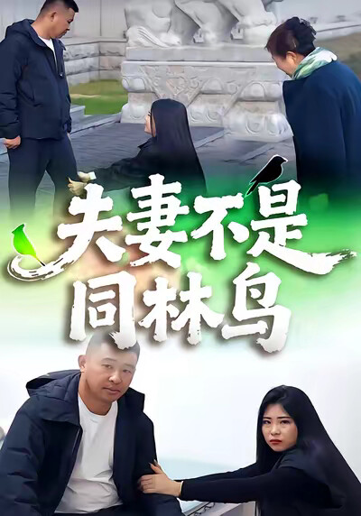 《夫妻不是同林鳥》劇照