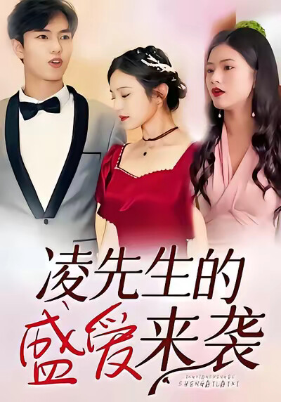 《凌先生的盛愛來襲》劇照