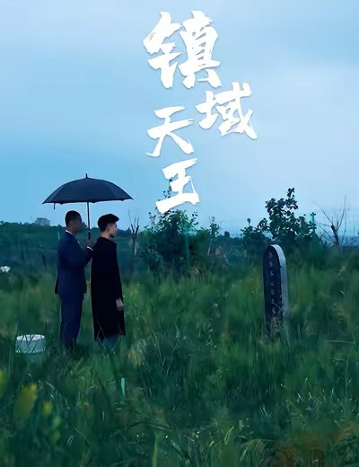 《鎮域天王》劇照