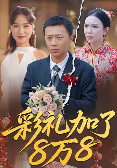 《彩禮加了8萬8》劇照