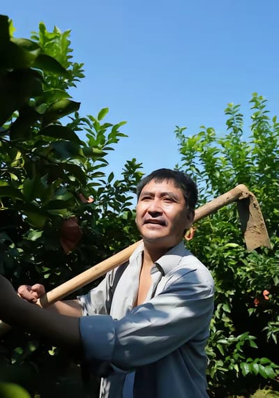 《花开柠乡》剧照