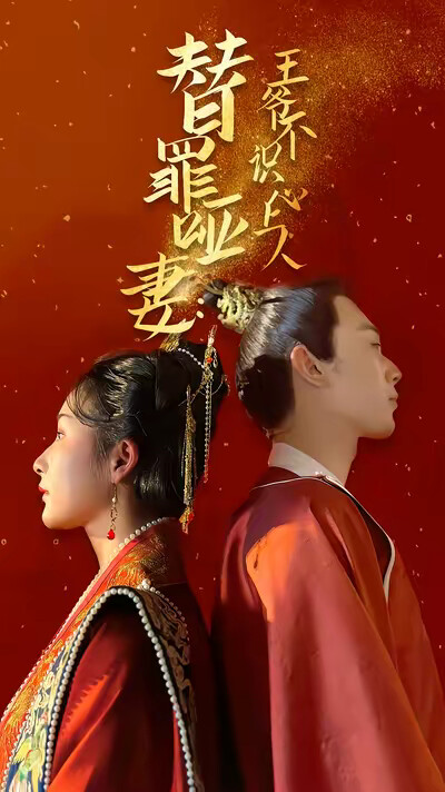 《替罪啞妻：王爺不識心上人》劇照