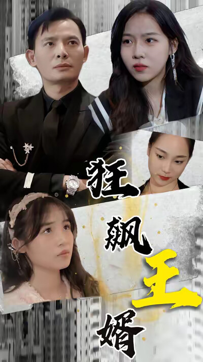 《狂飆王婿》劇照