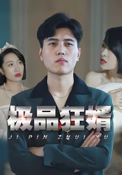 《極品狂婿》劇照