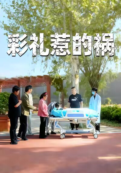 《彩禮惹的禍》劇照