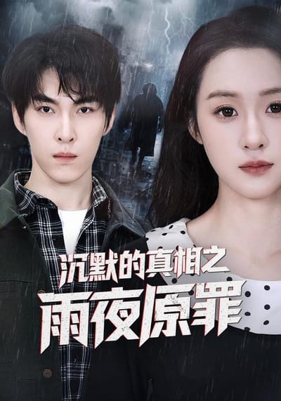《沉默的真相之雨夜原罪》劇照