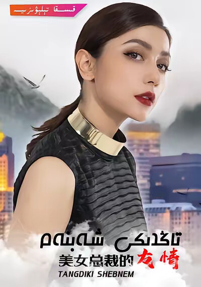 《美女總裁的友情》劇照