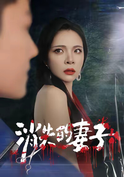 《消失的妻子》劇照
