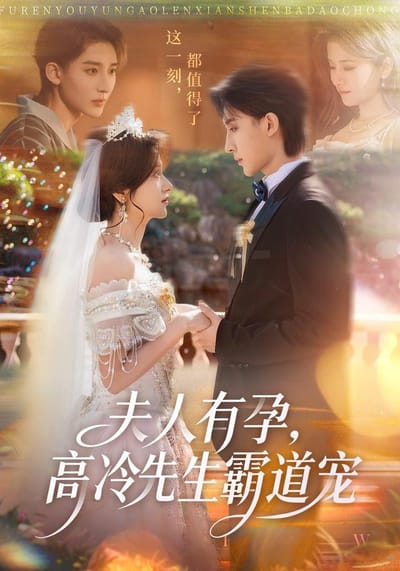 《夫人有孕，高冷先生霸道寵》劇照