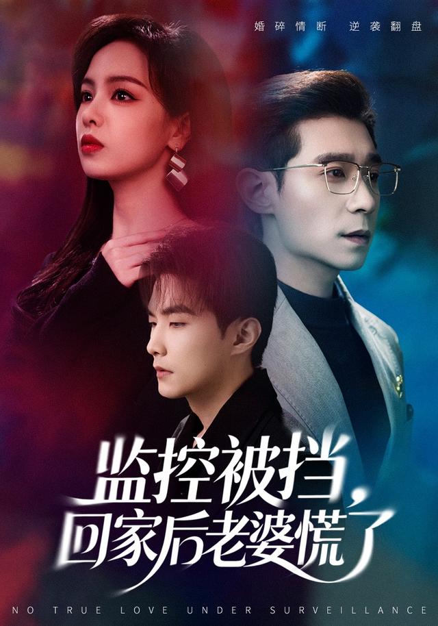 《監控被擋，回家後老婆慌了》劇照