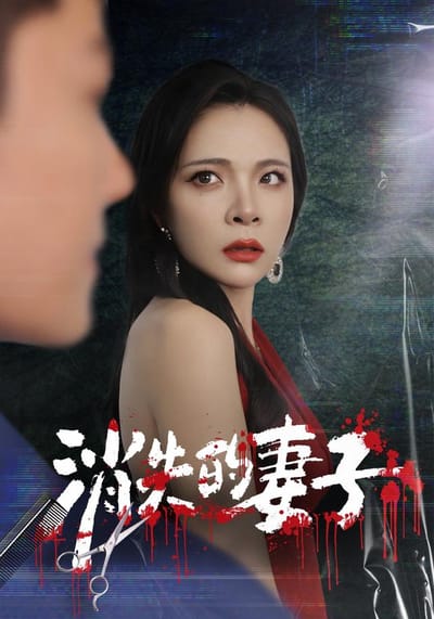 《消失的妻子》劇照
