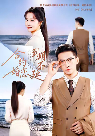 《合約婚戀，到期不延》劇照