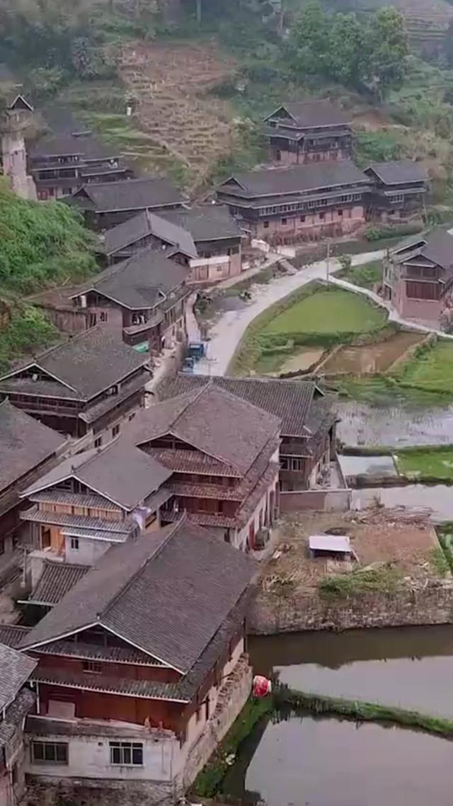 《鴉咒》劇照