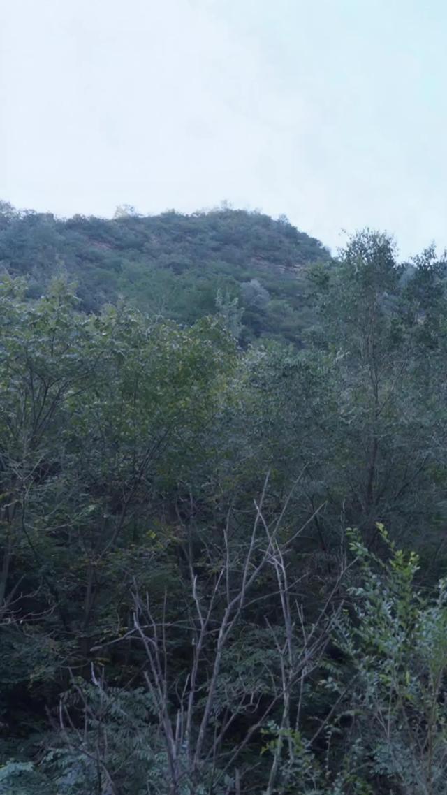 《鴉咒》劇照