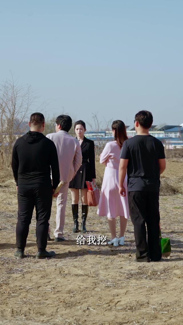 《替嫁到農村，老公一家把我寵上天》劇照