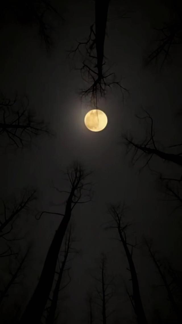 《鴉咒》劇照