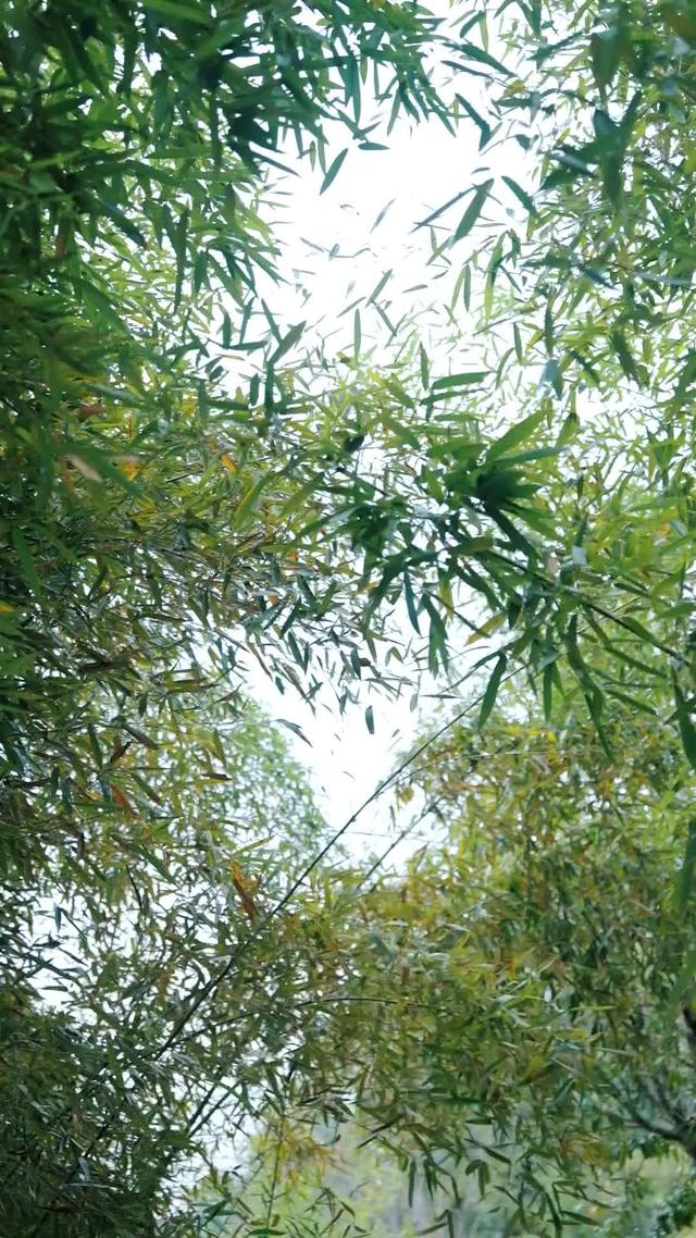 《痴情夜少覓醫女》劇照
