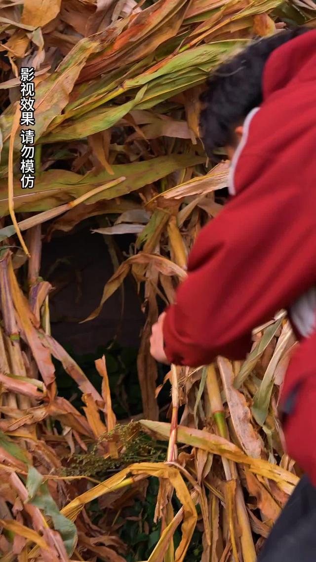 《千萬不要穿紅衣》劇照