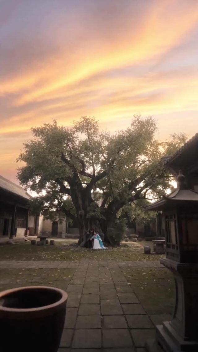 《春色韞韞共餘生》劇照