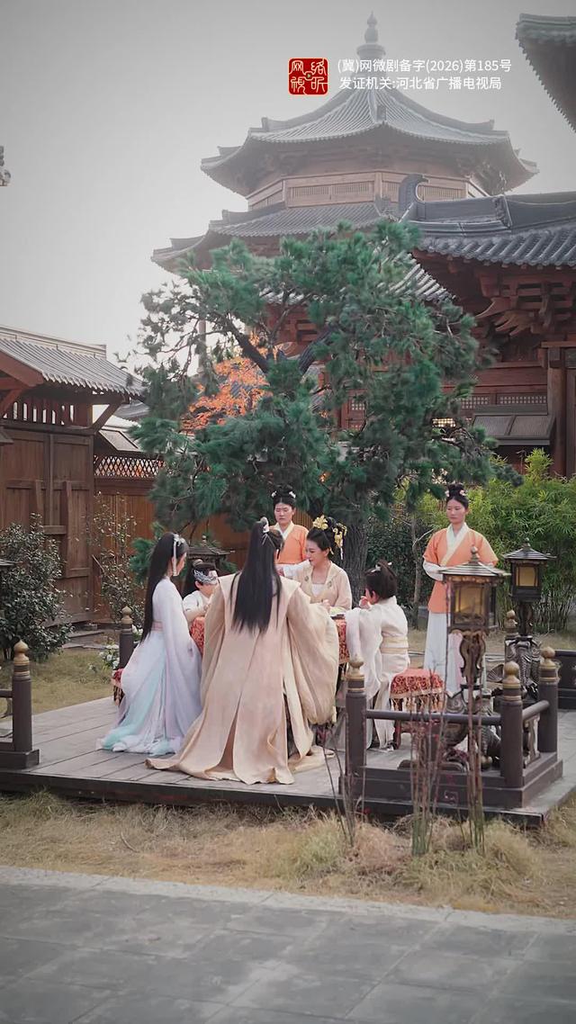 《神医娘亲归来，战神王爷跪求复合》剧照