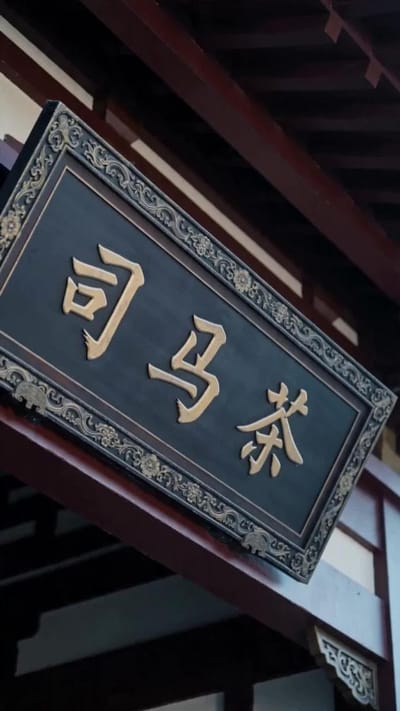 《春色韞韞共餘生》劇照