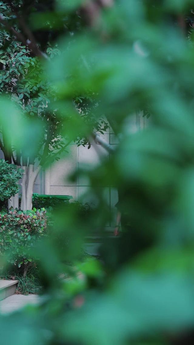 《恶意辞退，我从牛马岗位翻盘》剧照