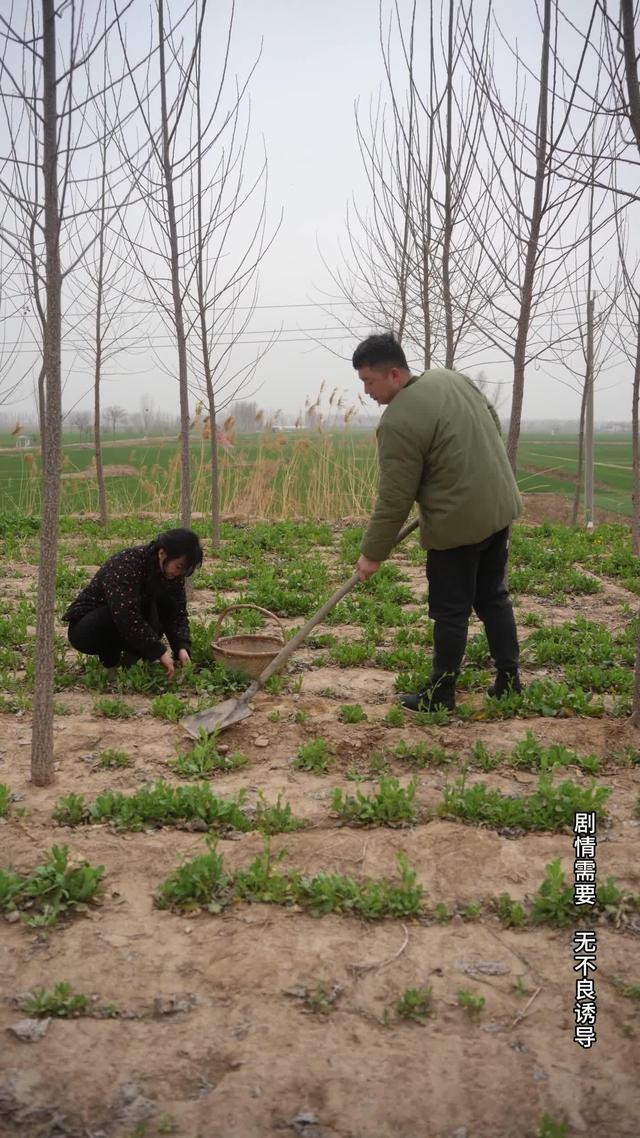 《風雨歸途》劇照