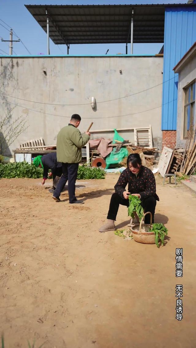 《風雨歸途》劇照