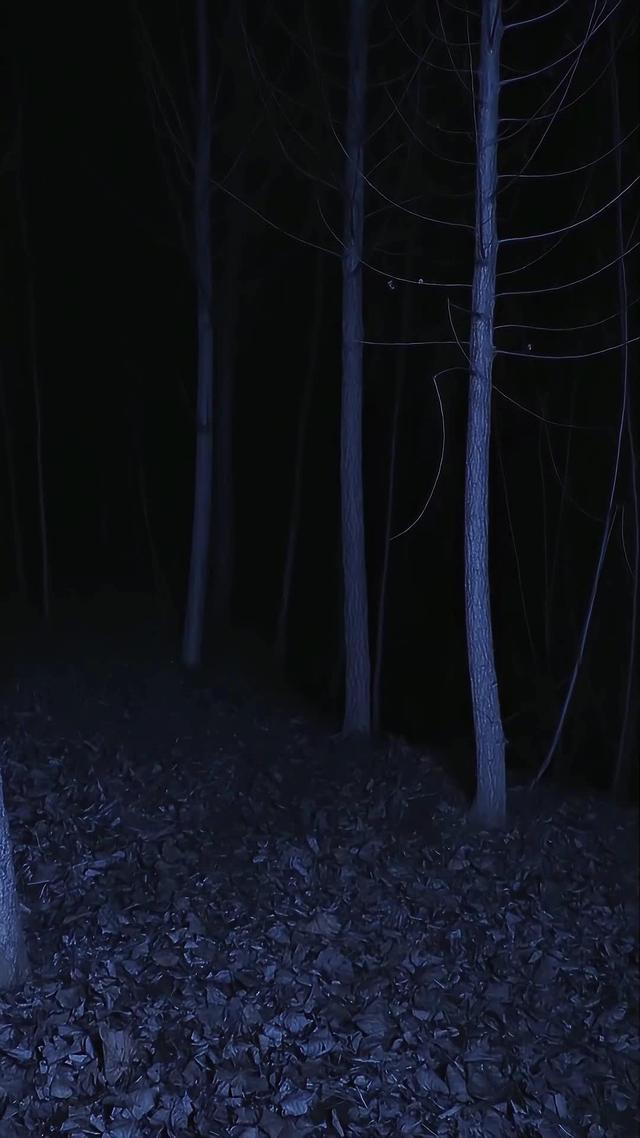 《血狼劫》劇照