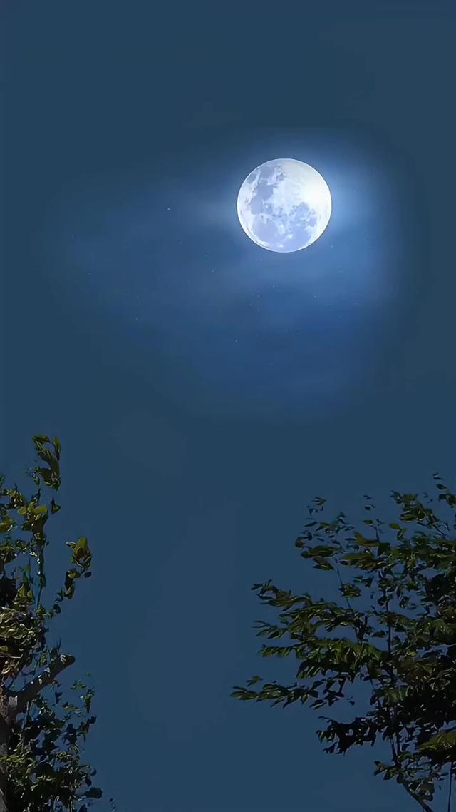 《血狼劫》劇照
