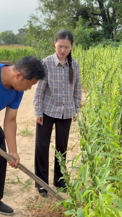《鄉絆Ⅲ》劇照
