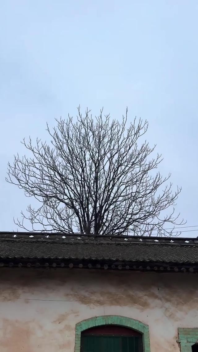 《淚落姐心》劇照