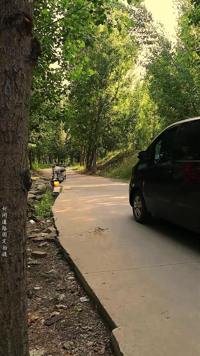 《運屍詭事》劇照
