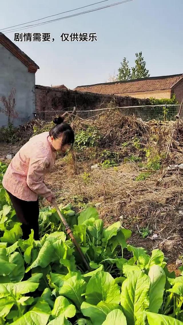 《雙婚喜事》劇照