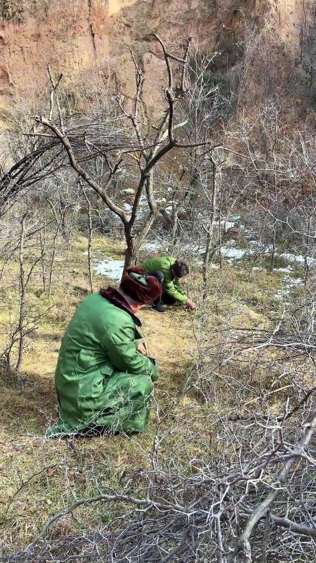 《淚落姐心》劇照