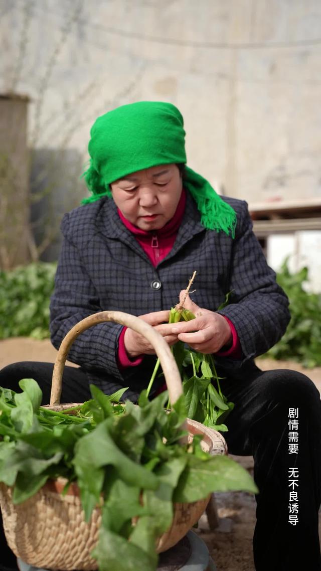 《風雨歸途》劇照