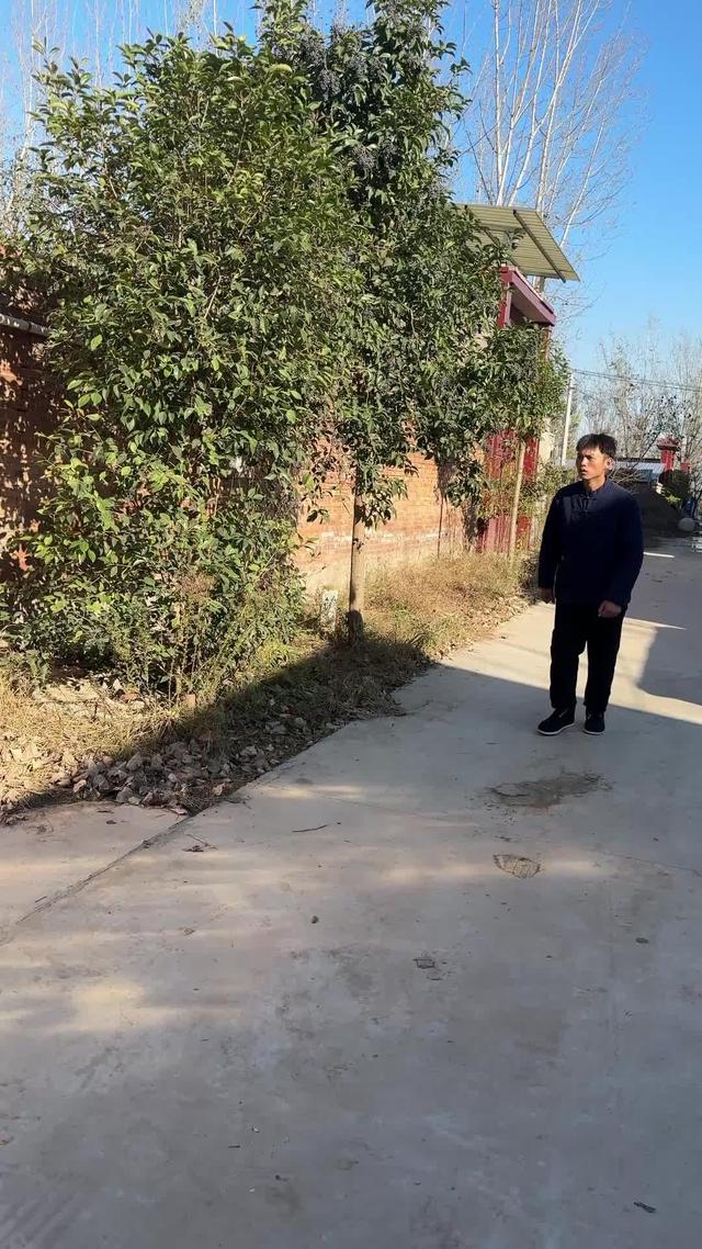 《鄉愁》劇照