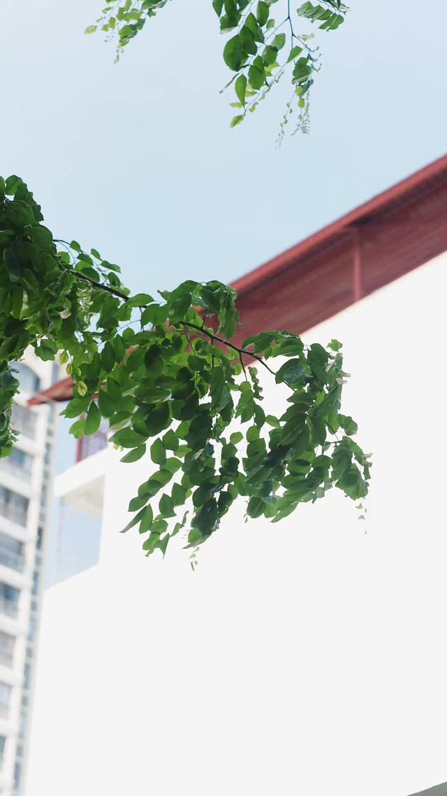 《揭穿假面總裁後我逆風翻盤》劇照