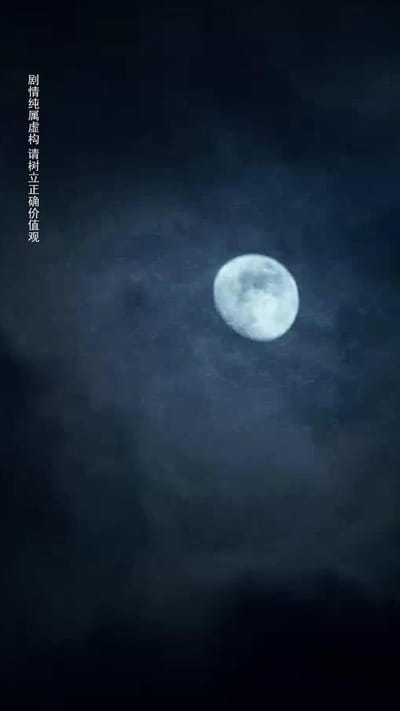 《鄉村贅婿，我在離婚後開始暴富》劇照