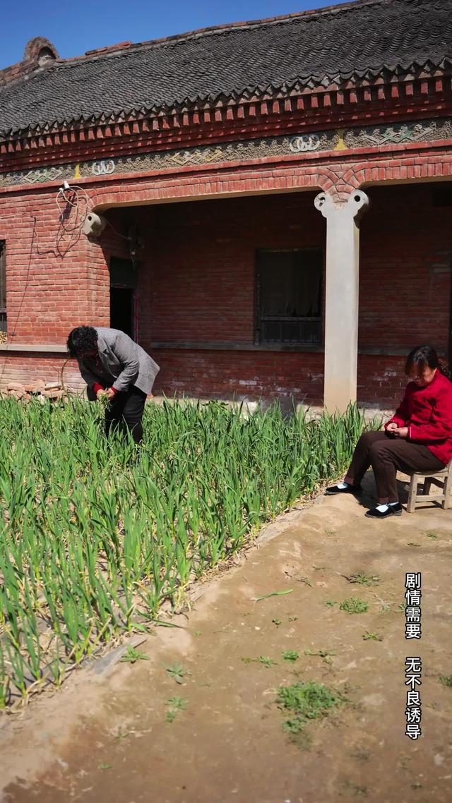 《風雨歸途》劇照