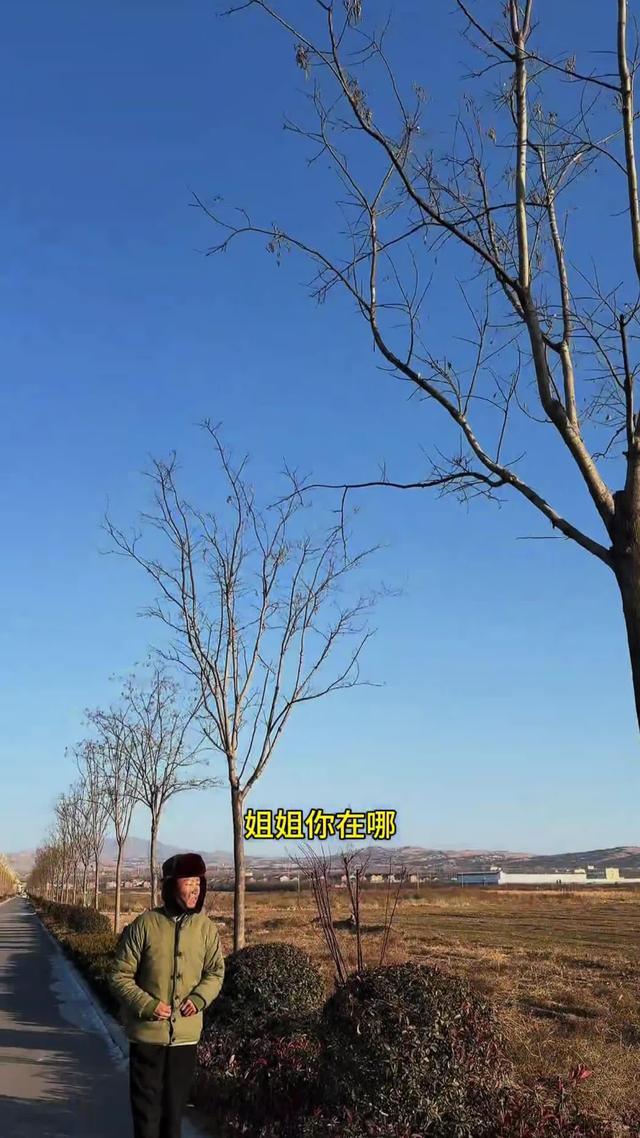 《淚落姐心》劇照