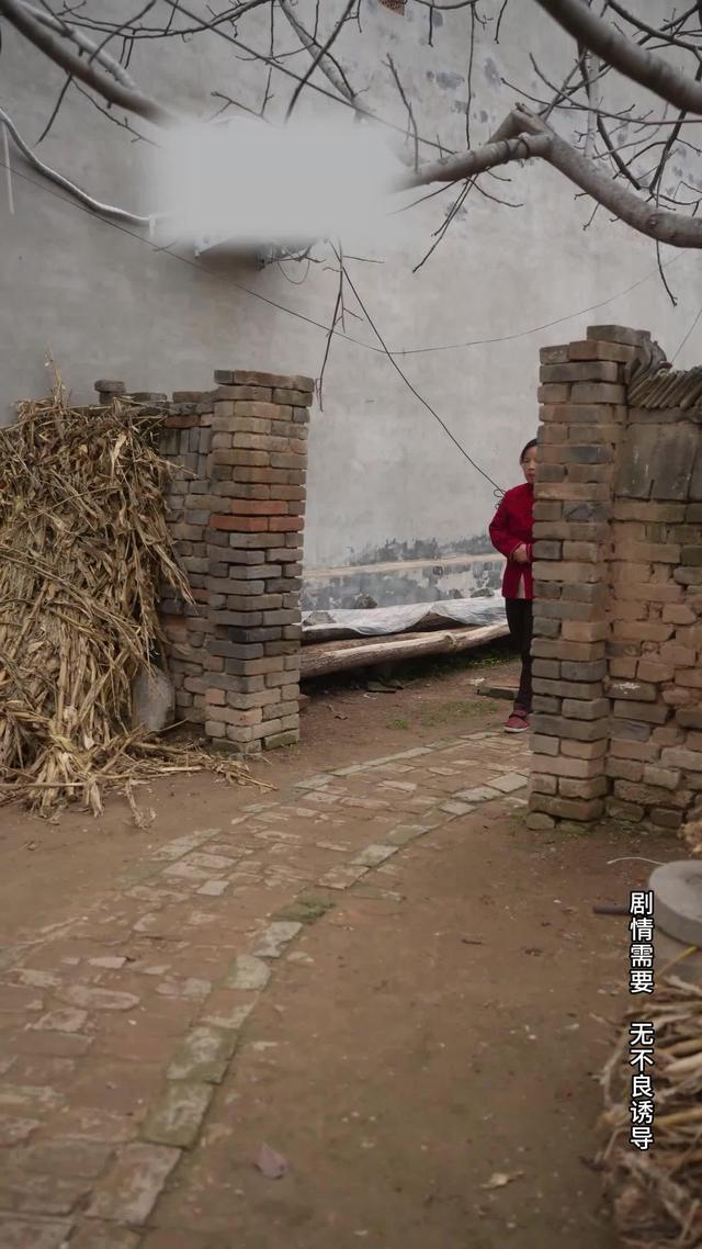 《風雨歸途》劇照