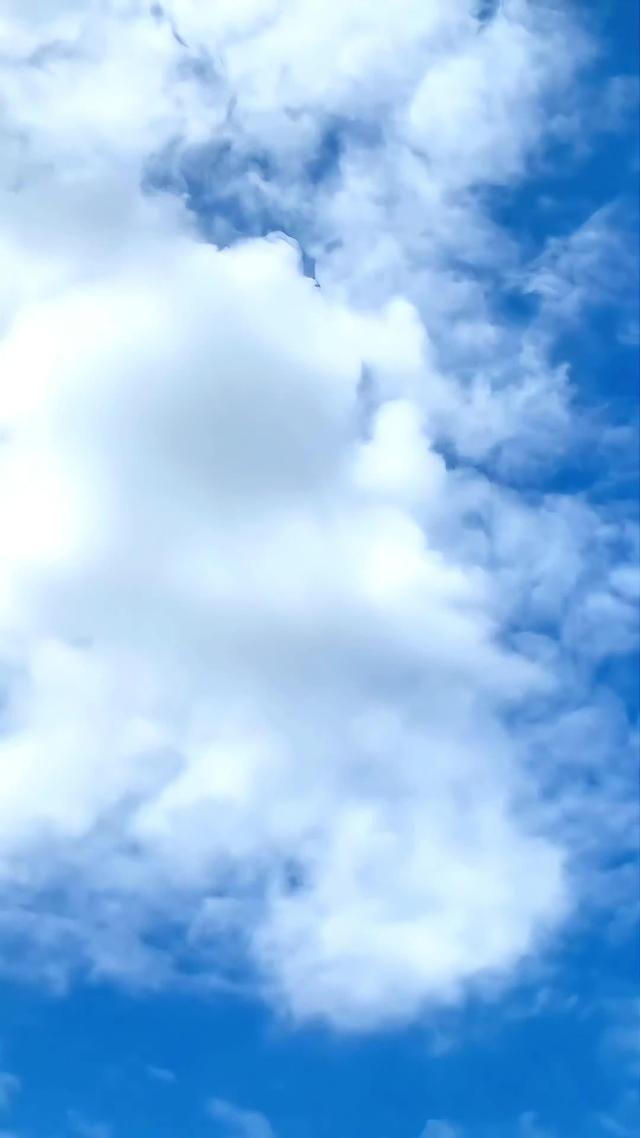 《血狼劫》劇照