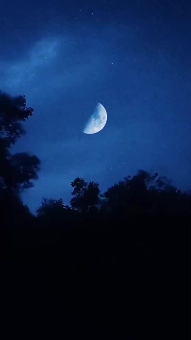 《血狼劫》劇照
