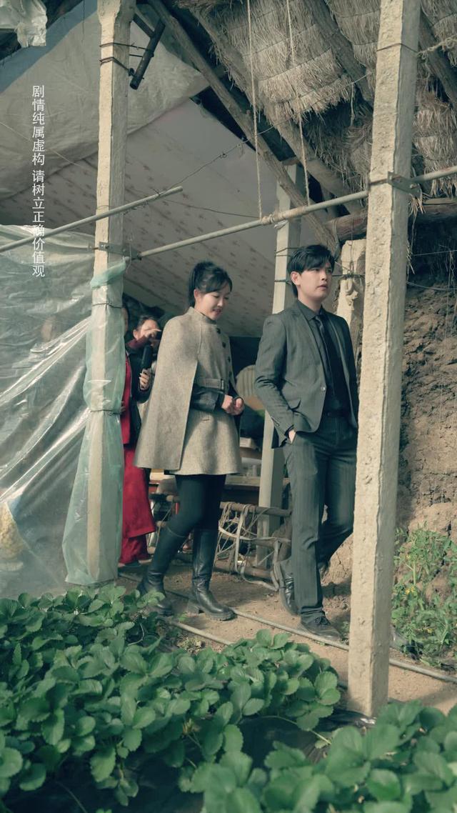 《鄉村贅婿，我在離婚後開始暴富》劇照