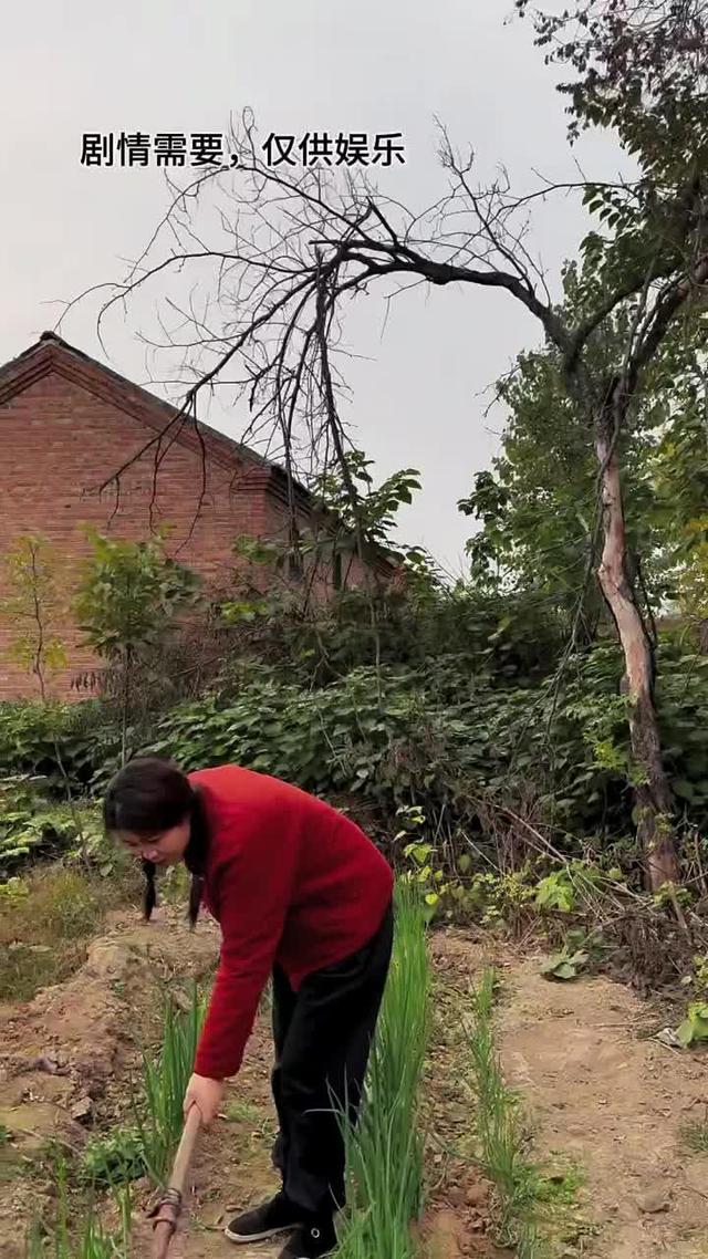 《雙婚喜事》劇照