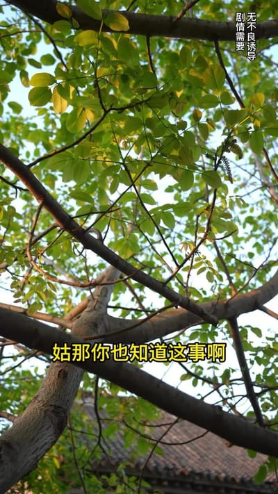 《父母愛情》劇照