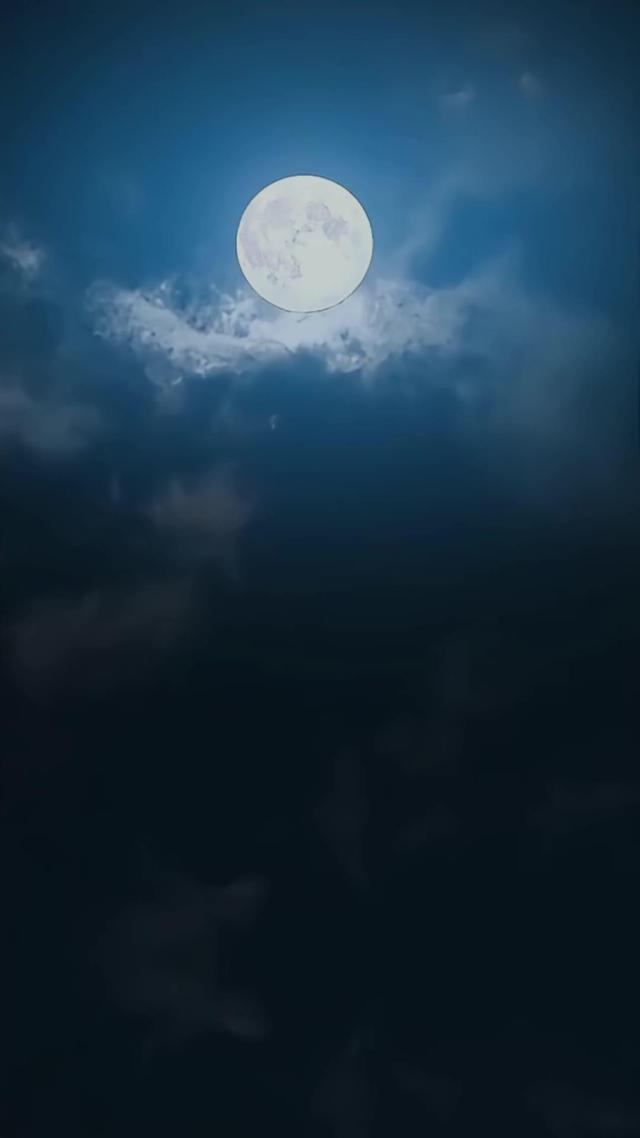 《血狼劫》劇照