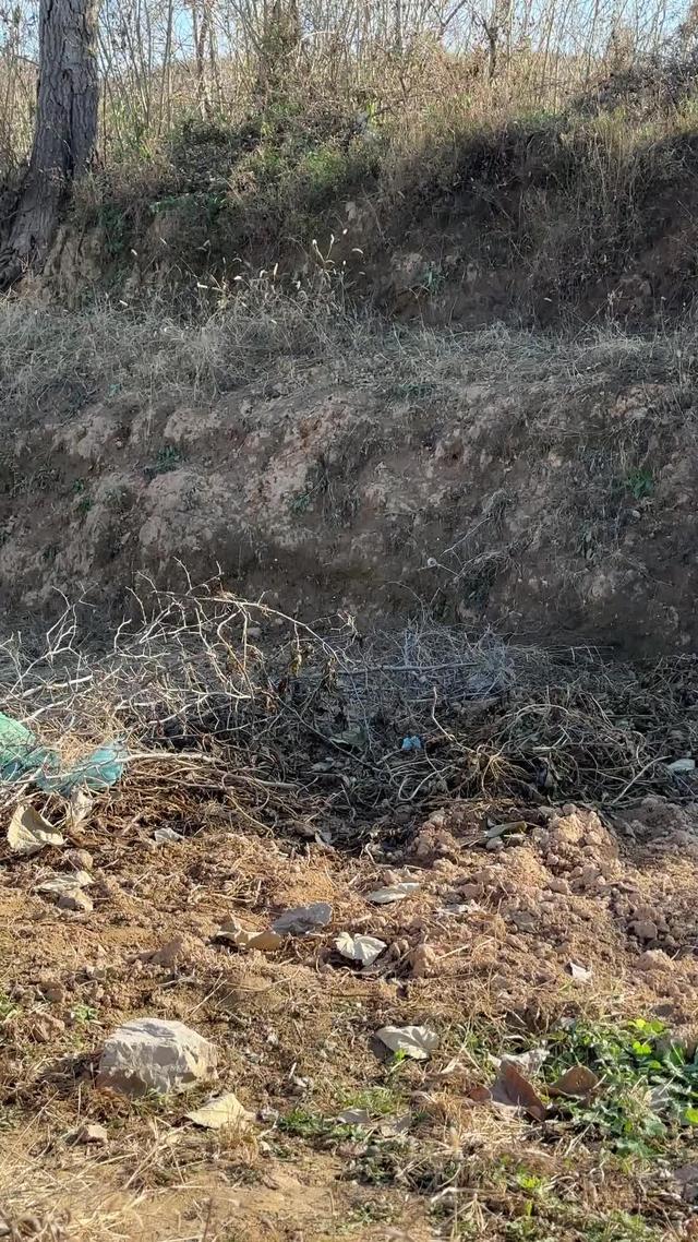 《雙生淚》劇照